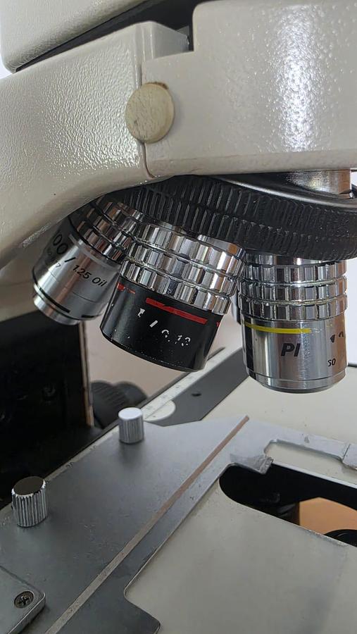 Used NIKON LABOPHOT 2