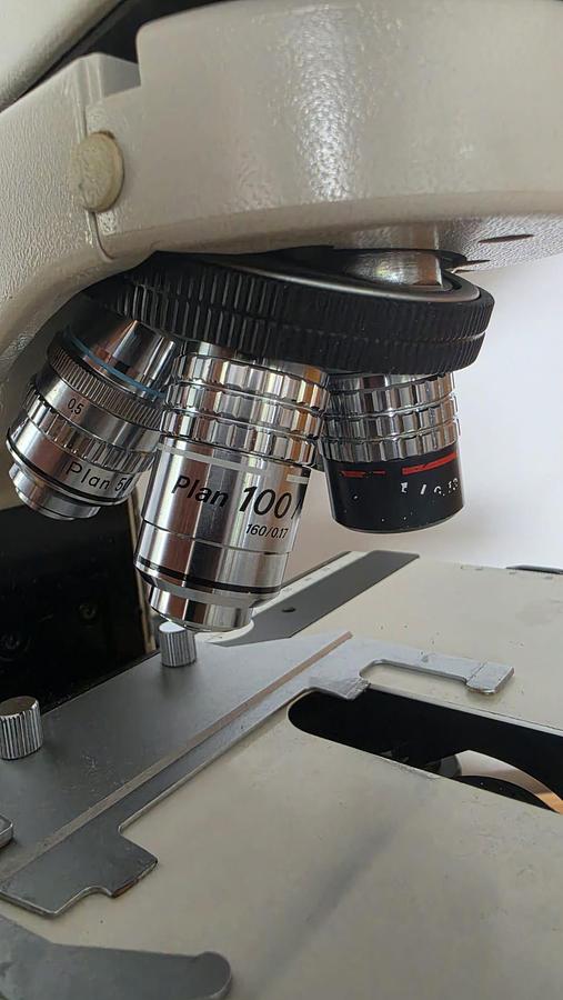 Used NIKON LABOPHOT 2