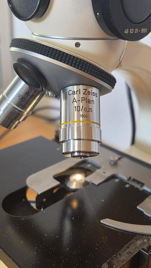Used Carl Zeiss NT 6V/10W stab