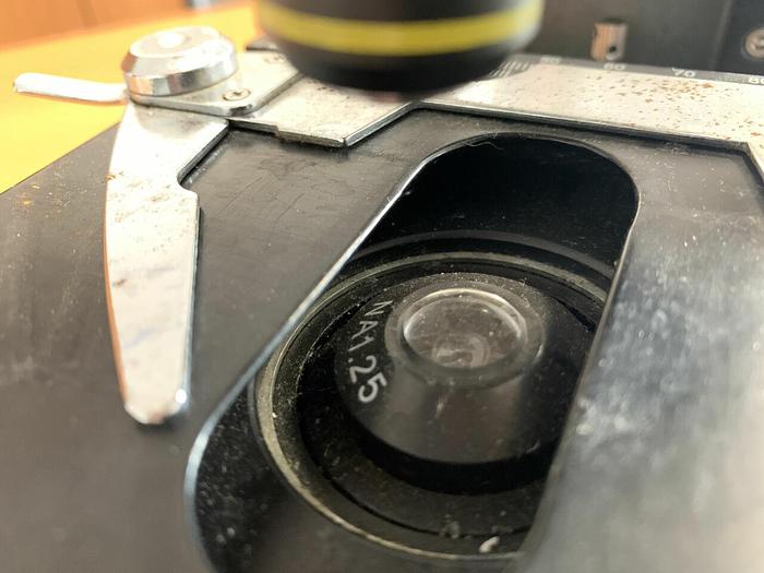 Used For Sale STUDAR S Microscope