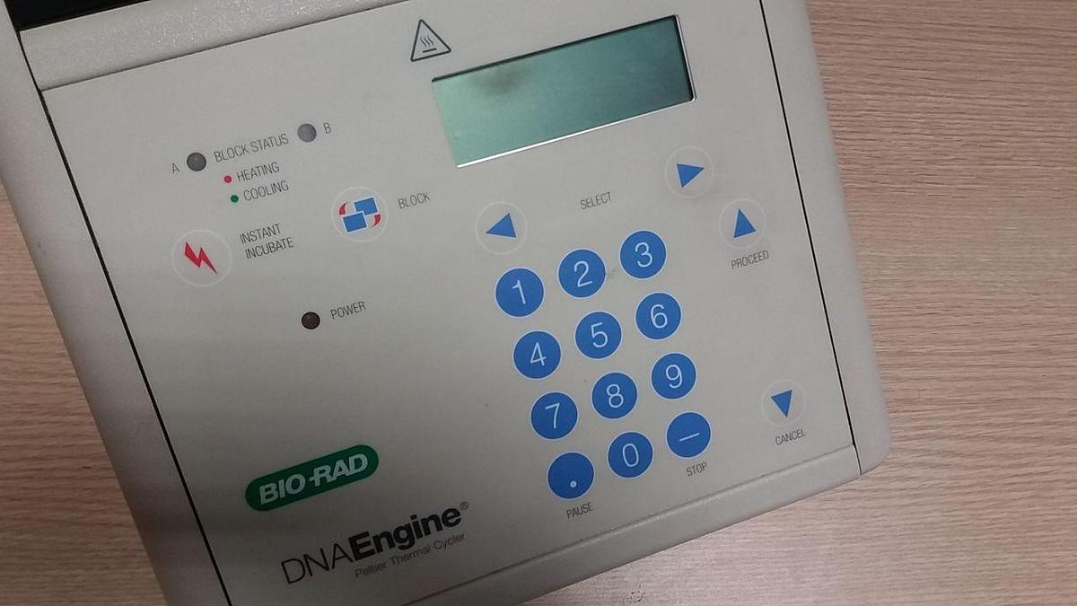 Used BIO-RAD DNA ENGINE PTC200