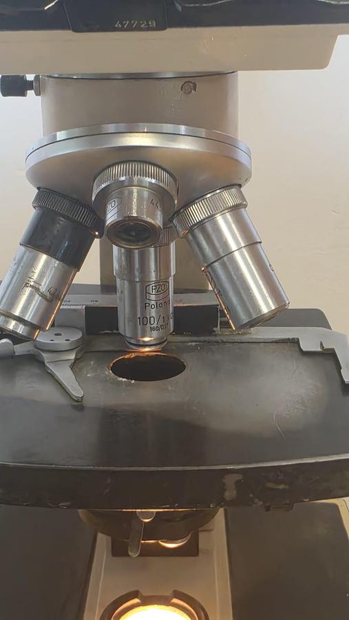 Used PZO sn 02952