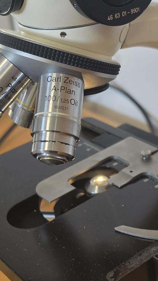 Used Carl Zeiss NT 6V/10W stab