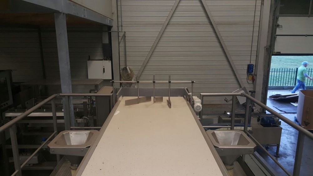 Used Newweigh lineair weighing and packing line