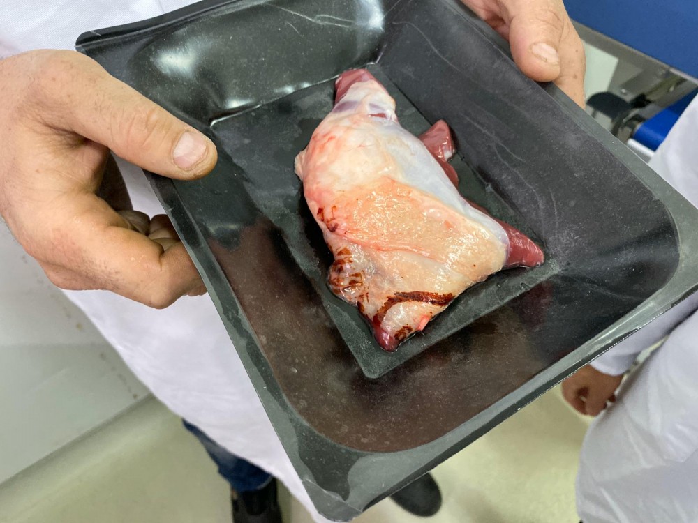 Used Multivac R175CD skin-packer