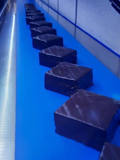 Used 2016 Selmi Cooling Tunnel