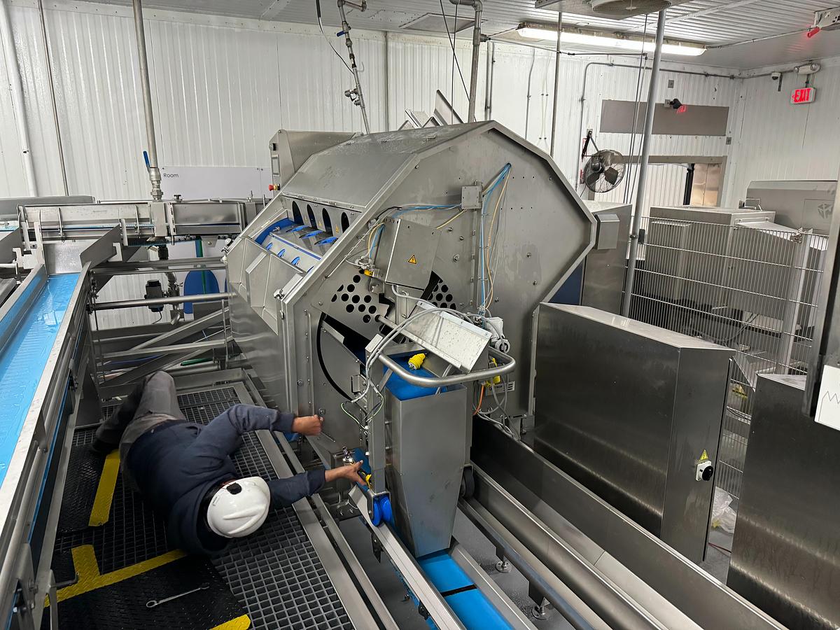 Used Sweet Bell Pepper Coring Machine | 2017 JBT FINTON