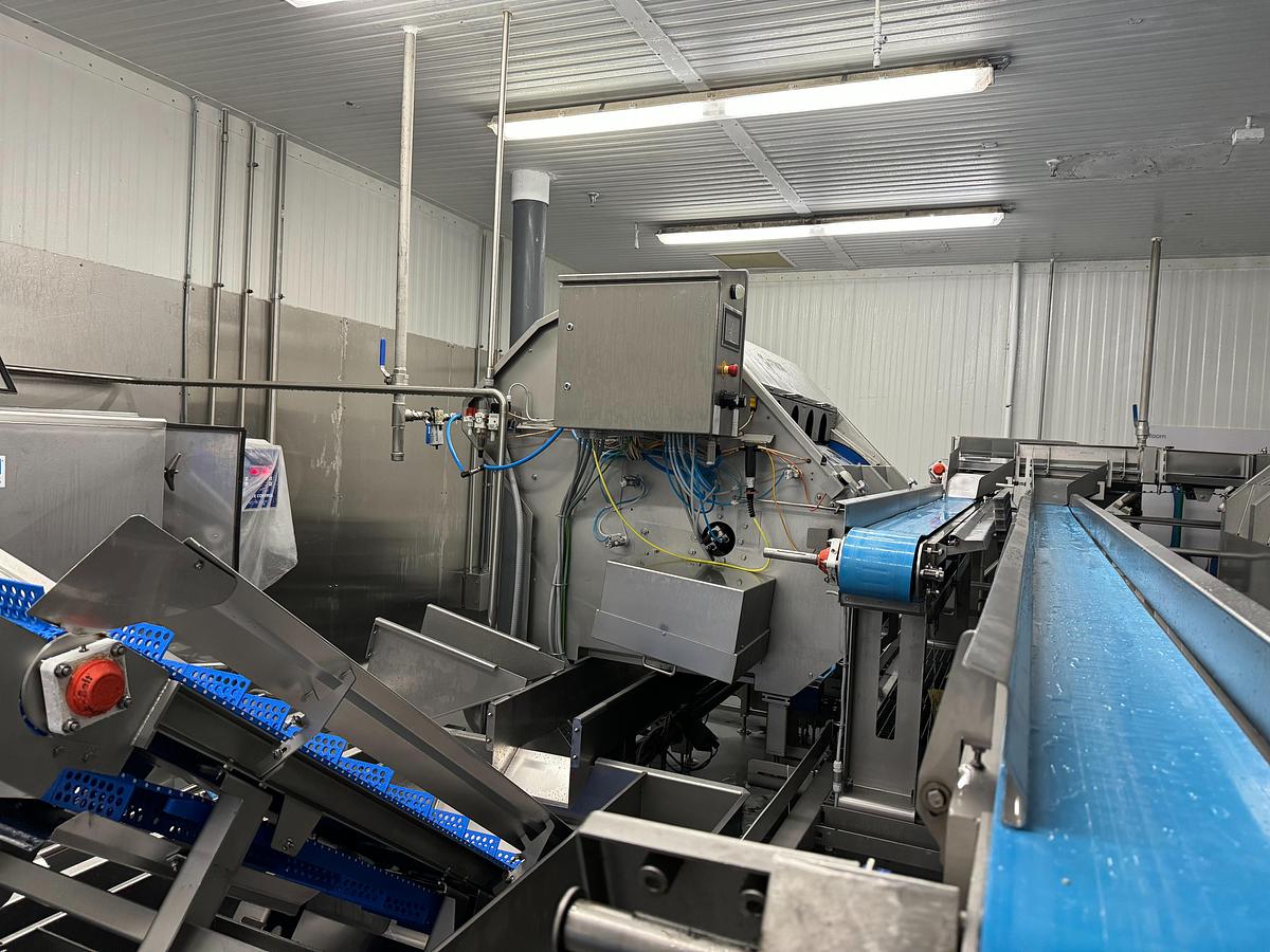 2017 JBT FINTON Used Sweet Bell Pepper Coring Machine