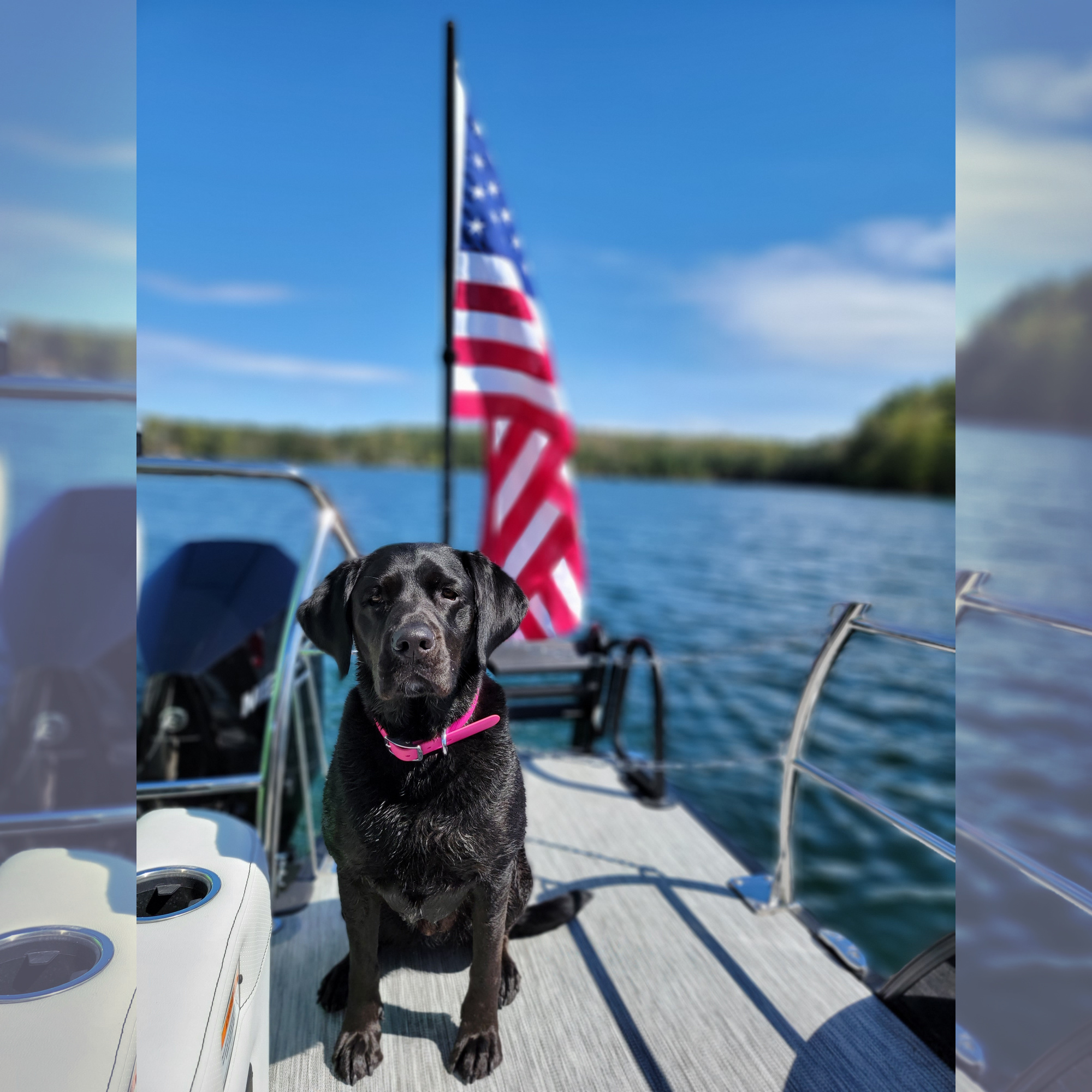 American Flag