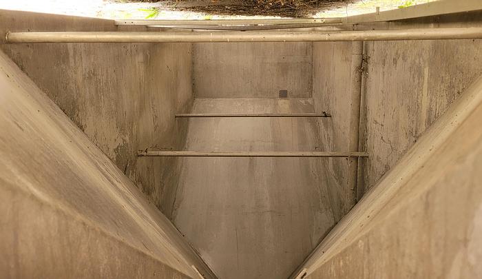 Used Bunkier (zbiornik) nierdzewny z podajnikiem ślimakowym