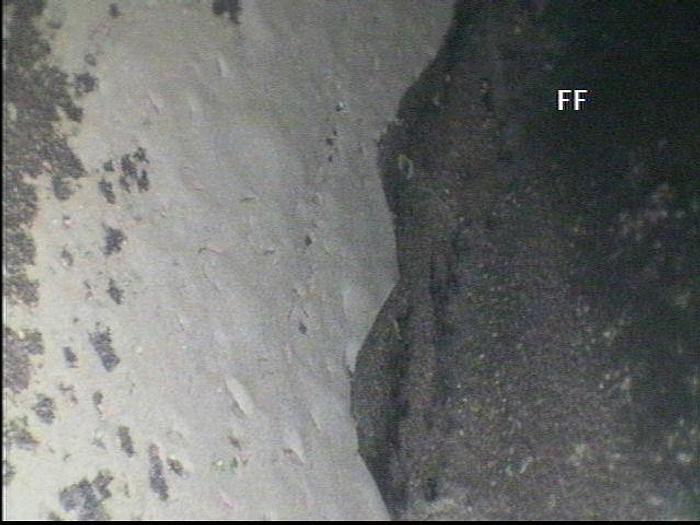 Refurbished NASH CL1001 #19585