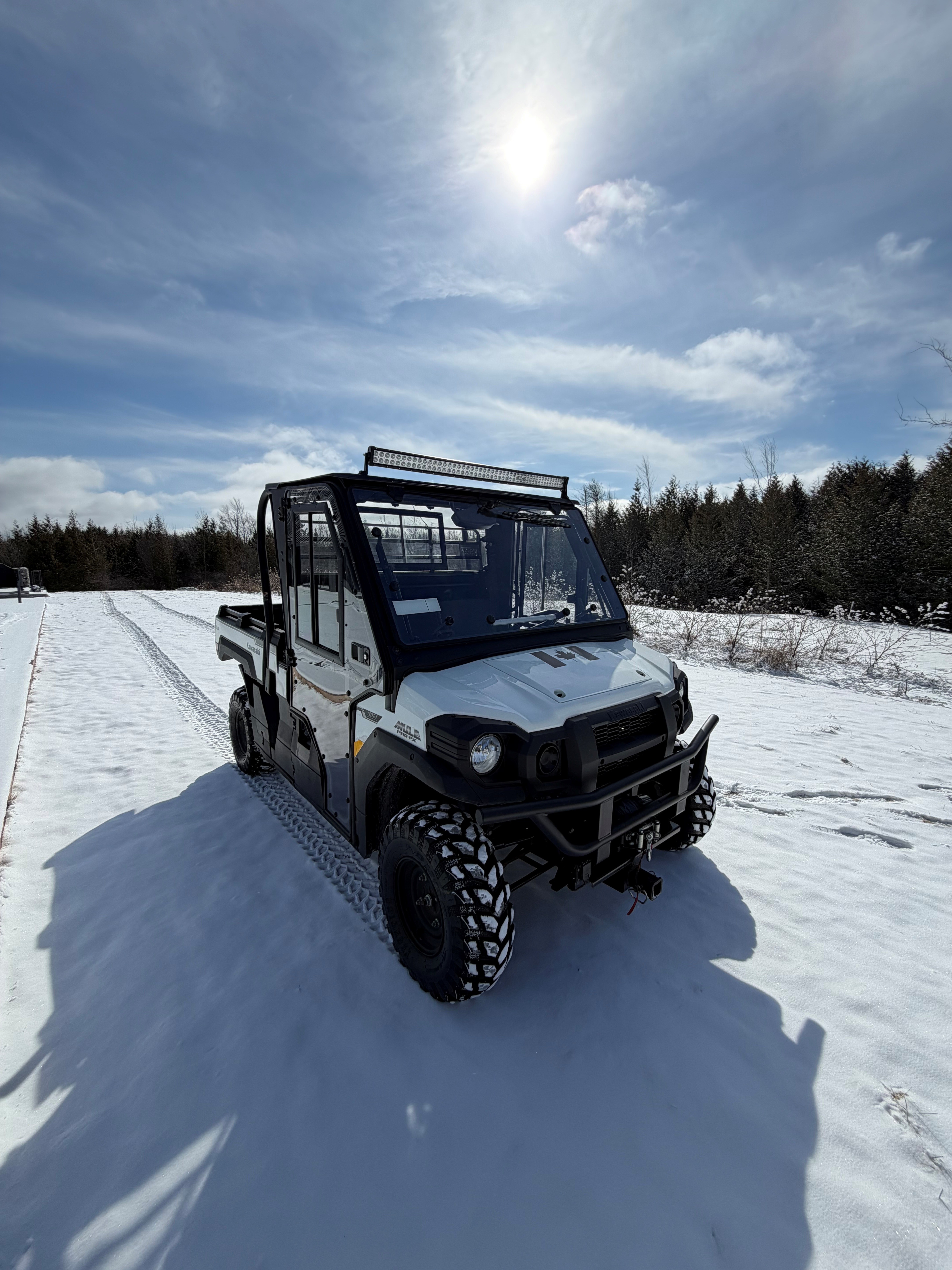 Used Kawasaki Mule