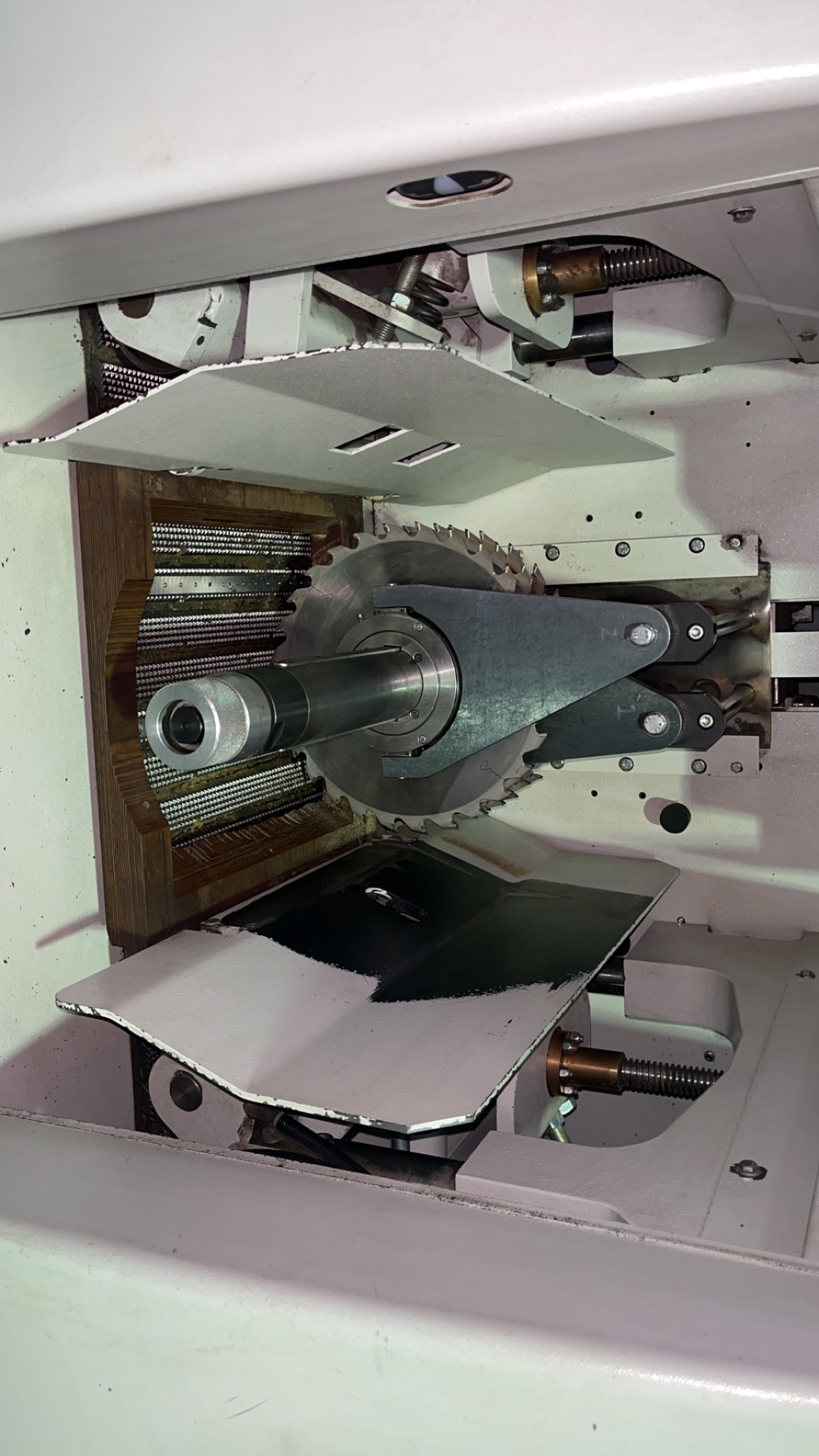 Used 2017 Weinig Raimann VarioRip 310 M Multi-Blade Rip Saw