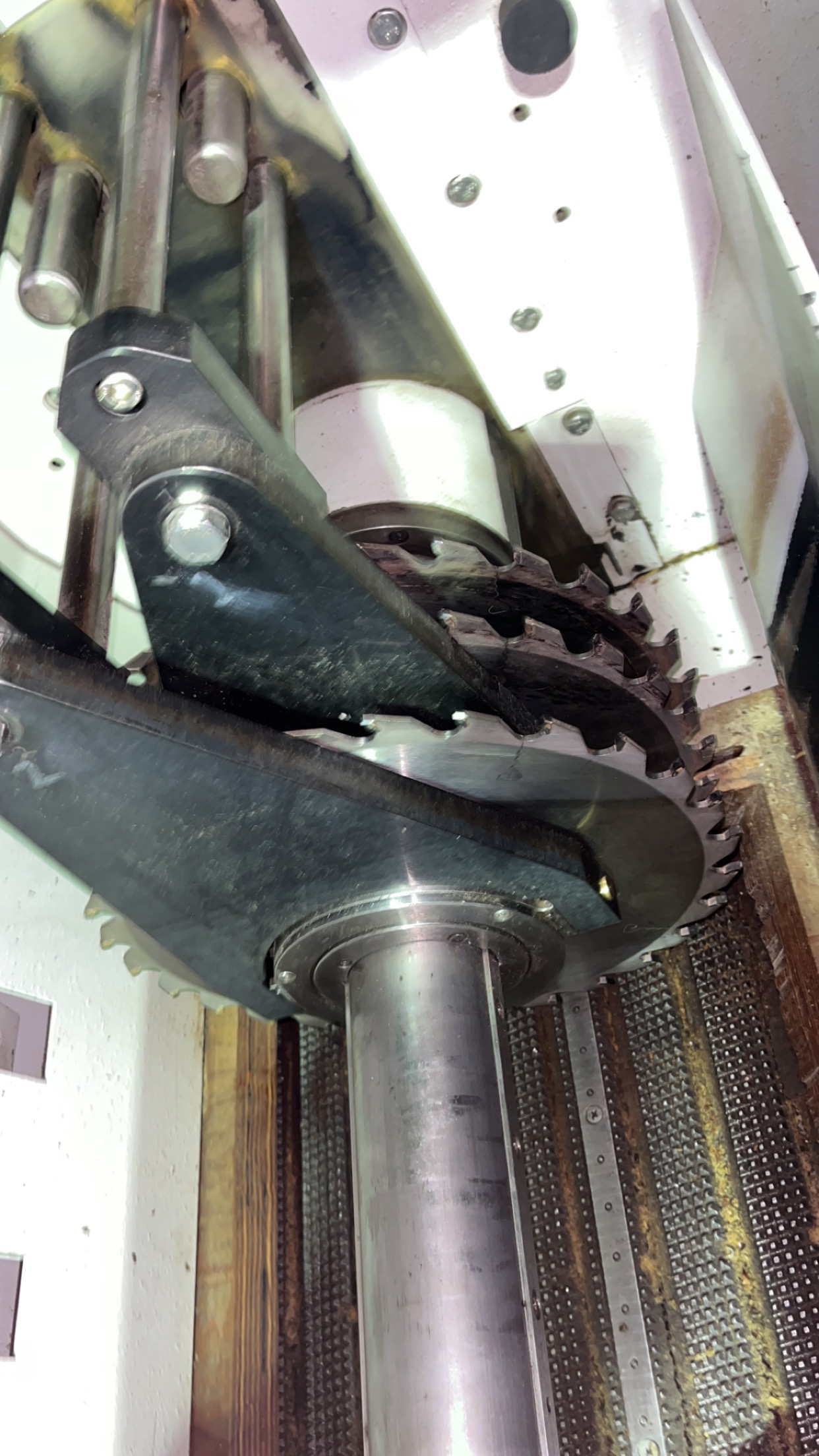 Used 2017 Weinig Raimann VarioRip 310 M Multi-Blade Rip Saw