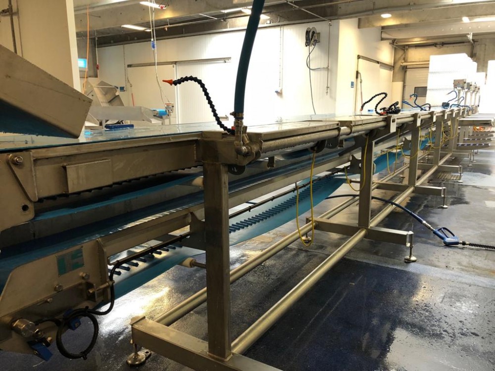 Used 2 x Baader complete cod filleting lines
