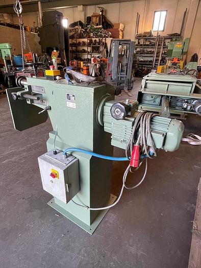 Usato BORDATRICE HYLLUS