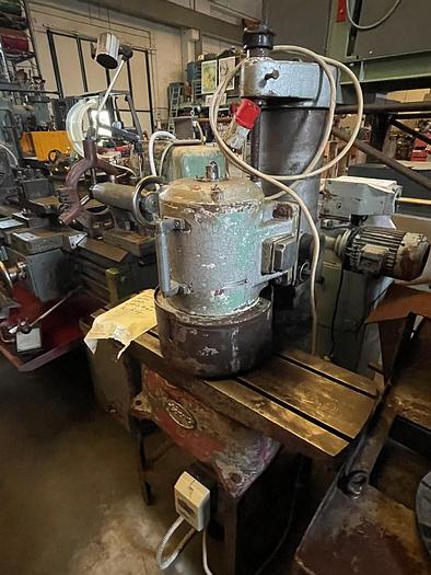 Usato LAPIDELLO PER TESTE