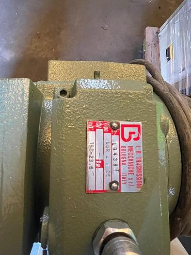 Usato BORDATRICE HYLLUS