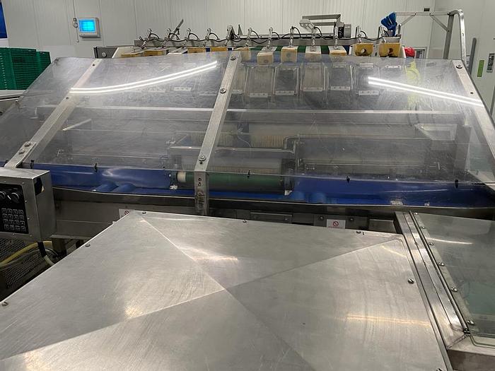 Used Newtec & Gillenkirch Apple/Pear Full Packing Line