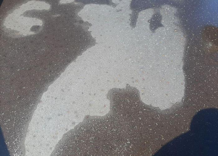 Used Screen, Sweco, 48", S/st, Single Deck, 2.5 HP #S744349