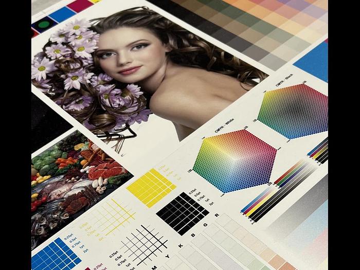 Used 2018 Mimaki JFX200-2513