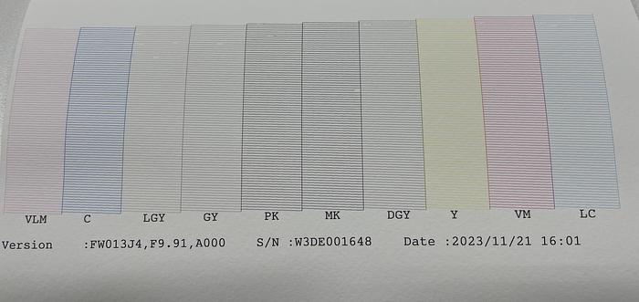 Used 2019 Epson P20000