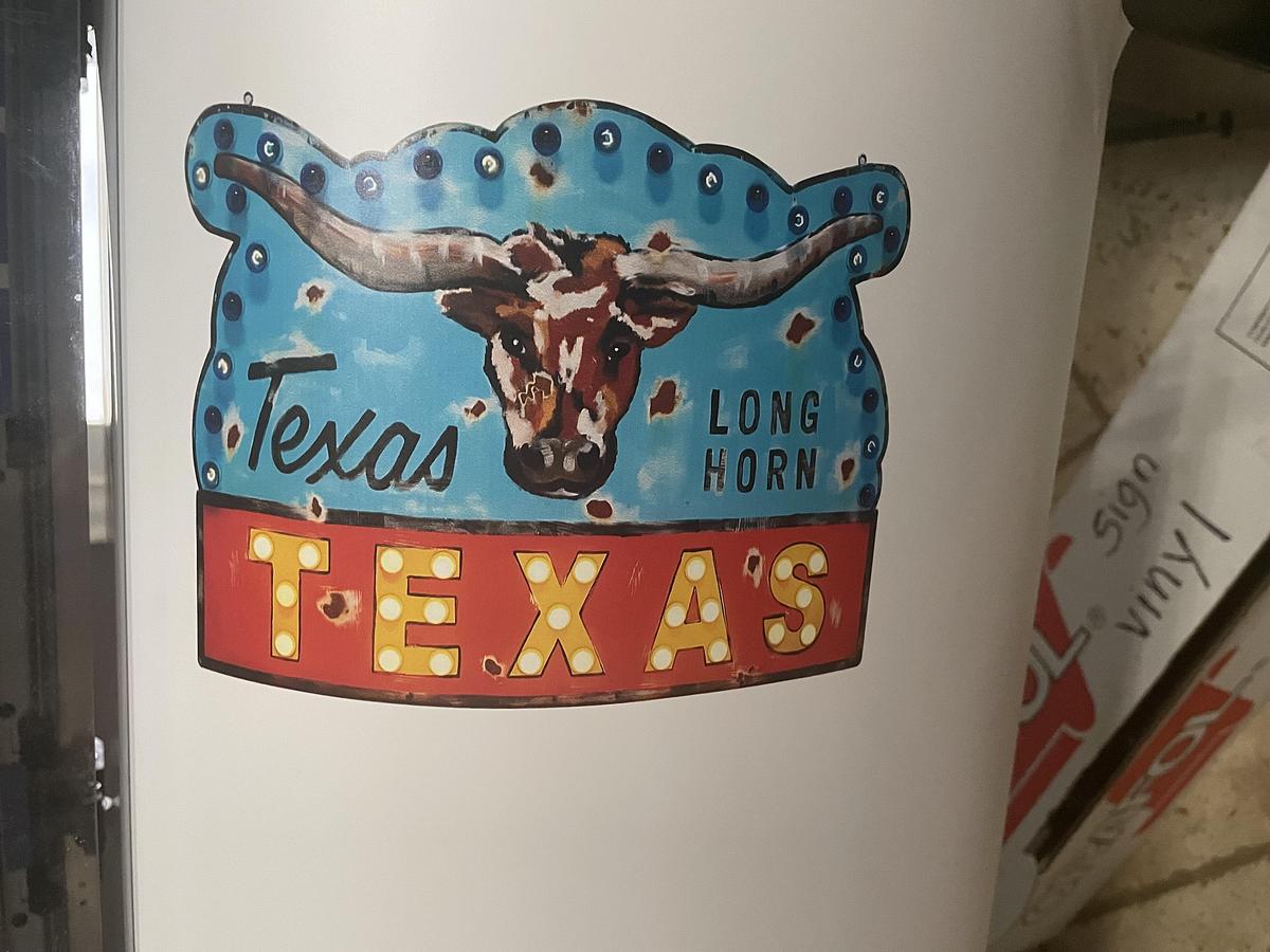 Used 2021 Roland TrueVis SG2 300