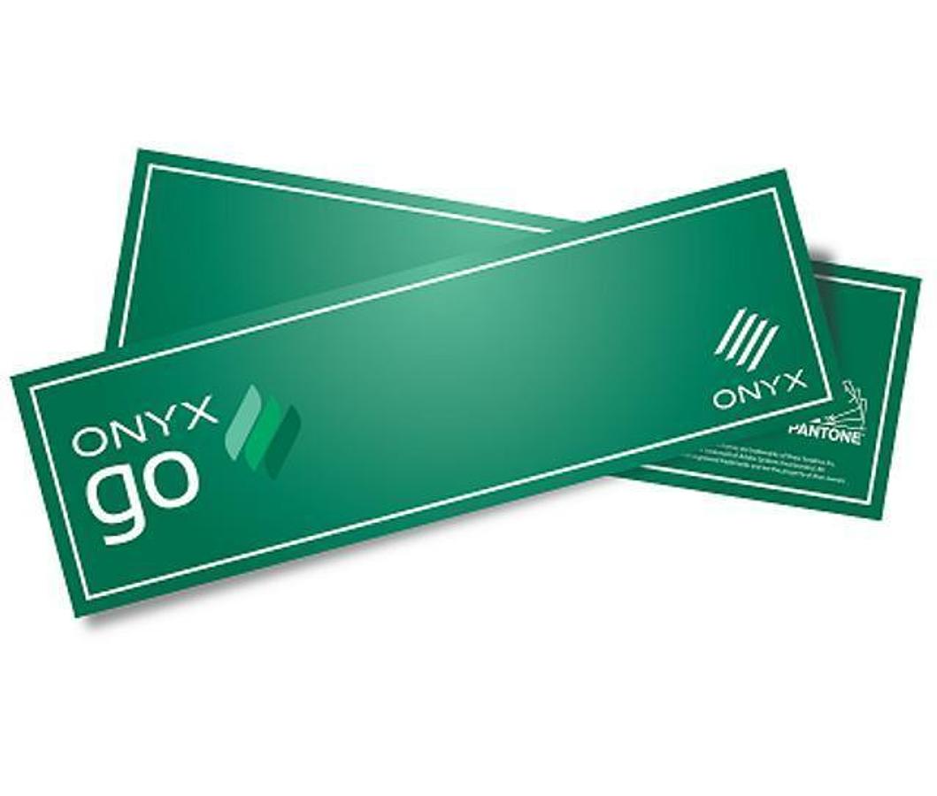2025 ONYX Go Plus - Monthly Subscription