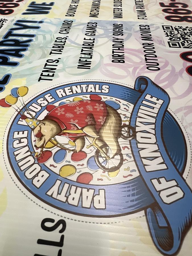 Used 2019 Vanguard VK300D