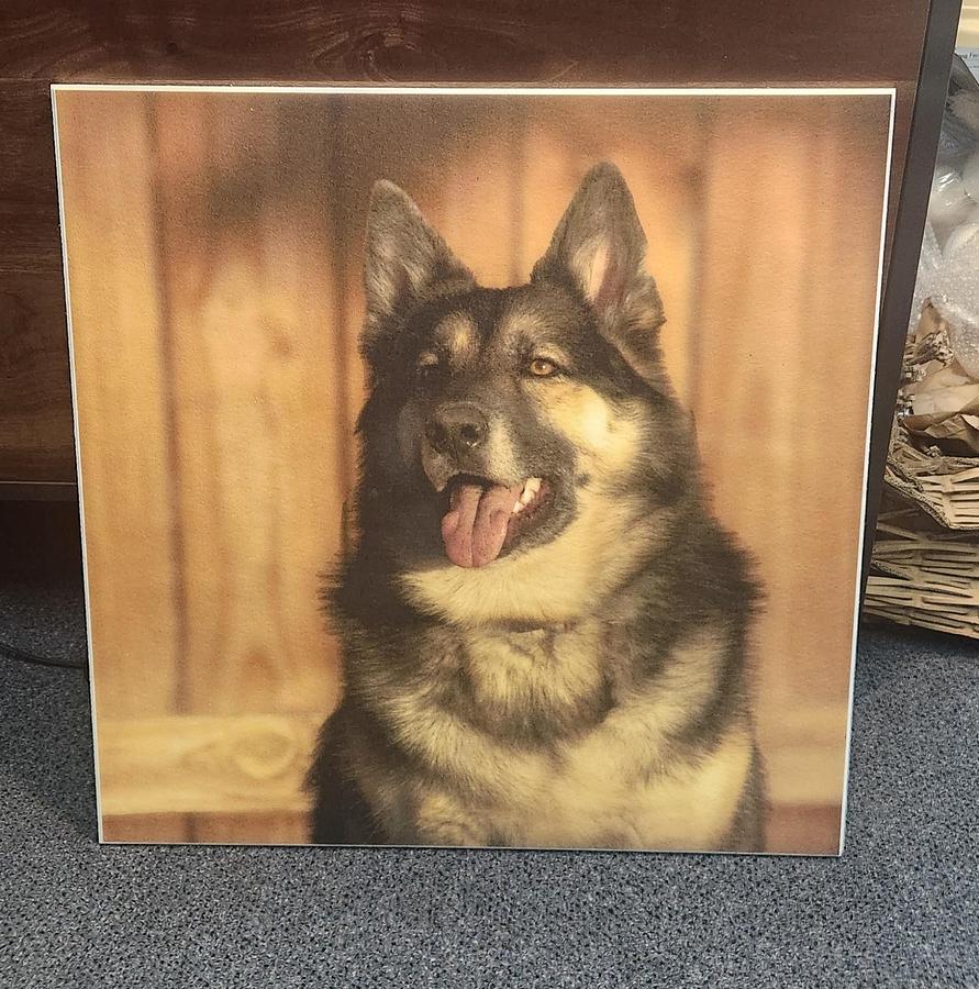 Used 2018 Oce Arizona 2280GT