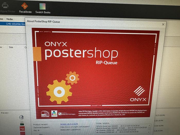 Used 2019 Epson S80600