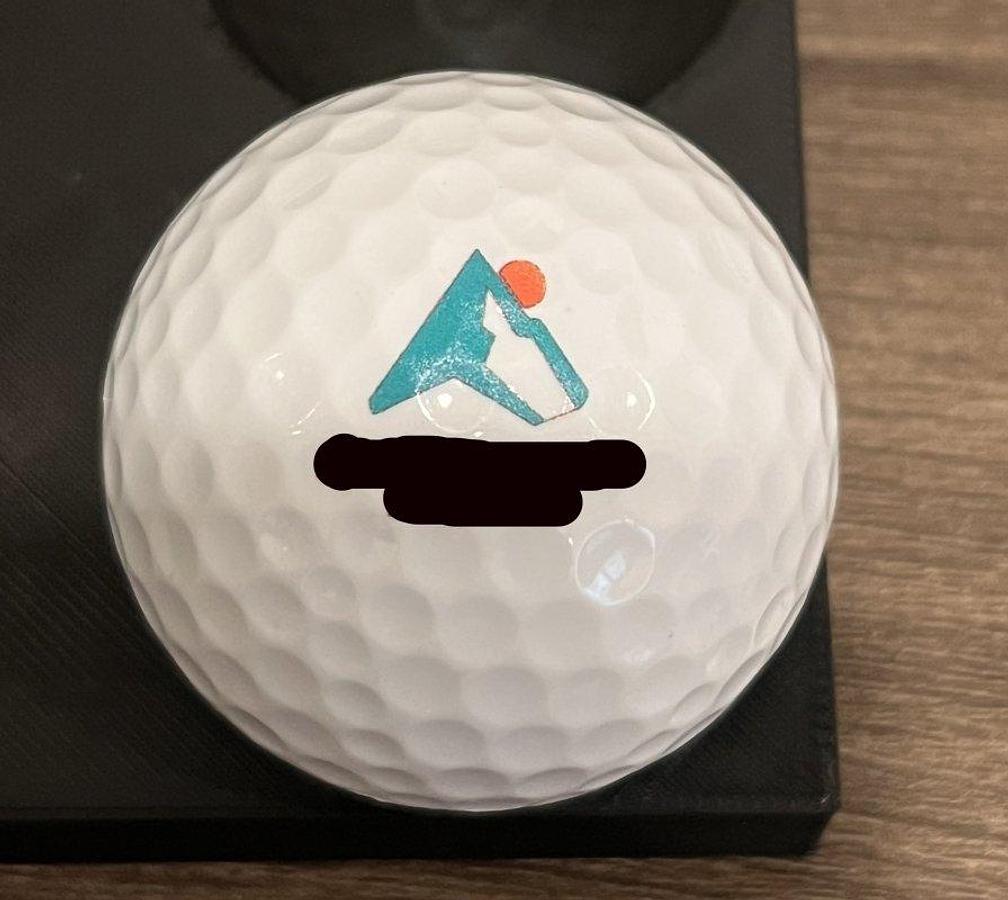 Used 2024 Epson Surecolor V1070