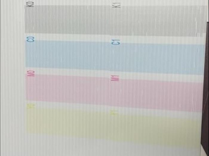 Used 2019 Vanguard VK300D