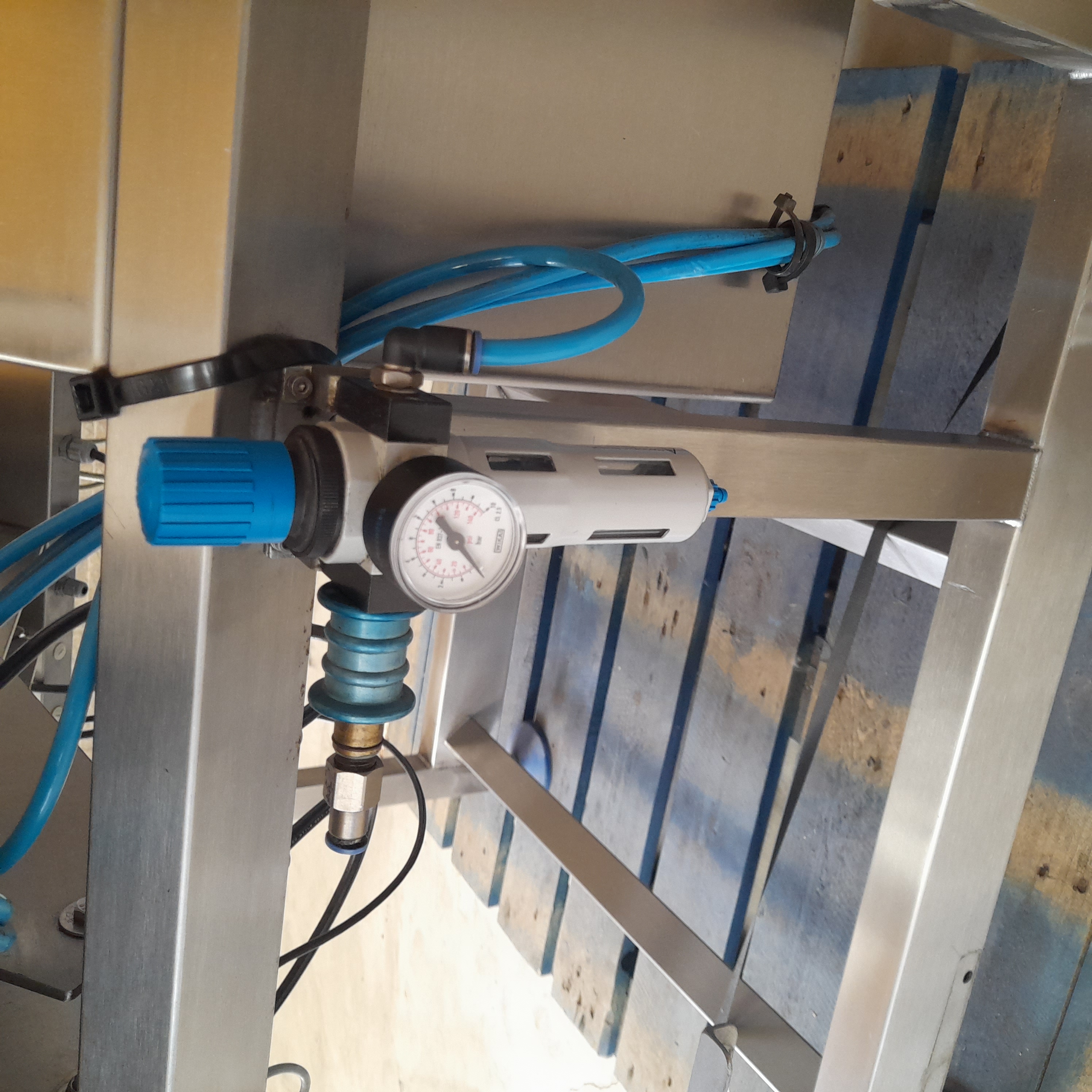 Used Sorma ACE 115 Punnet Filler Bagging Machine