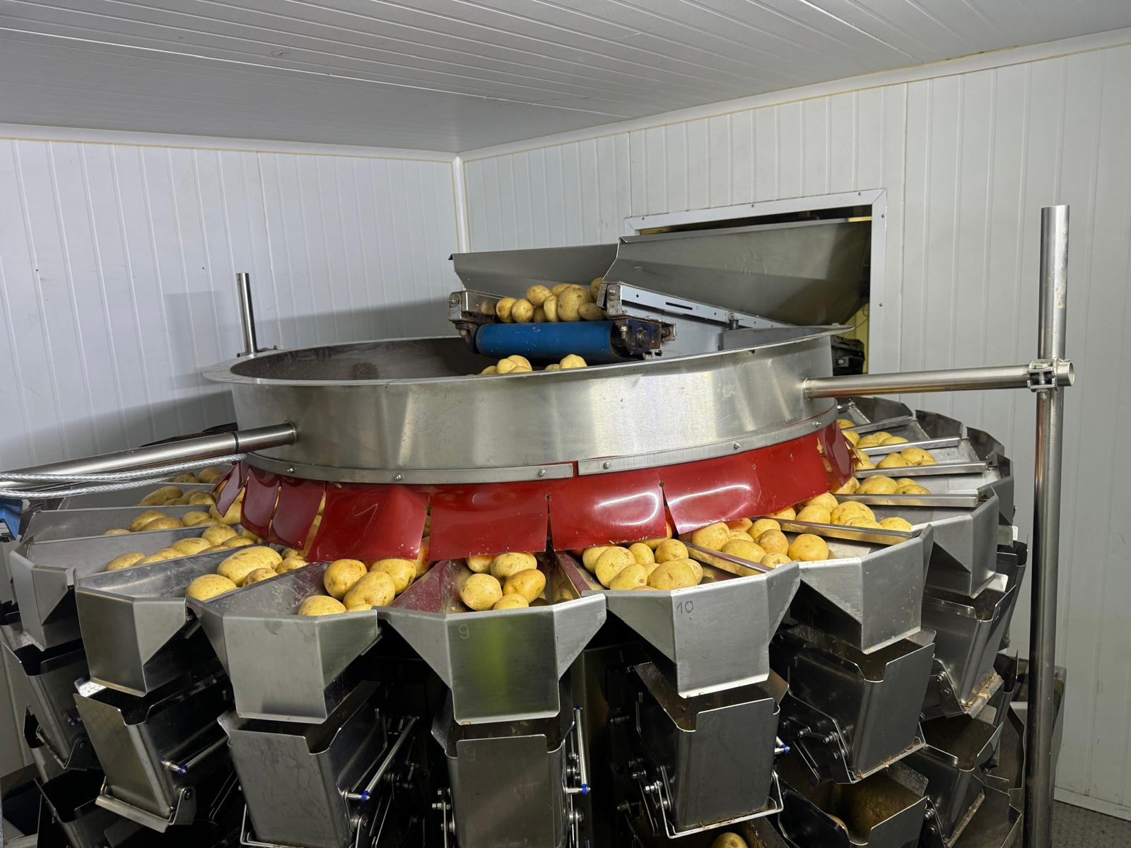 Used Complete VFFS Bagging Line