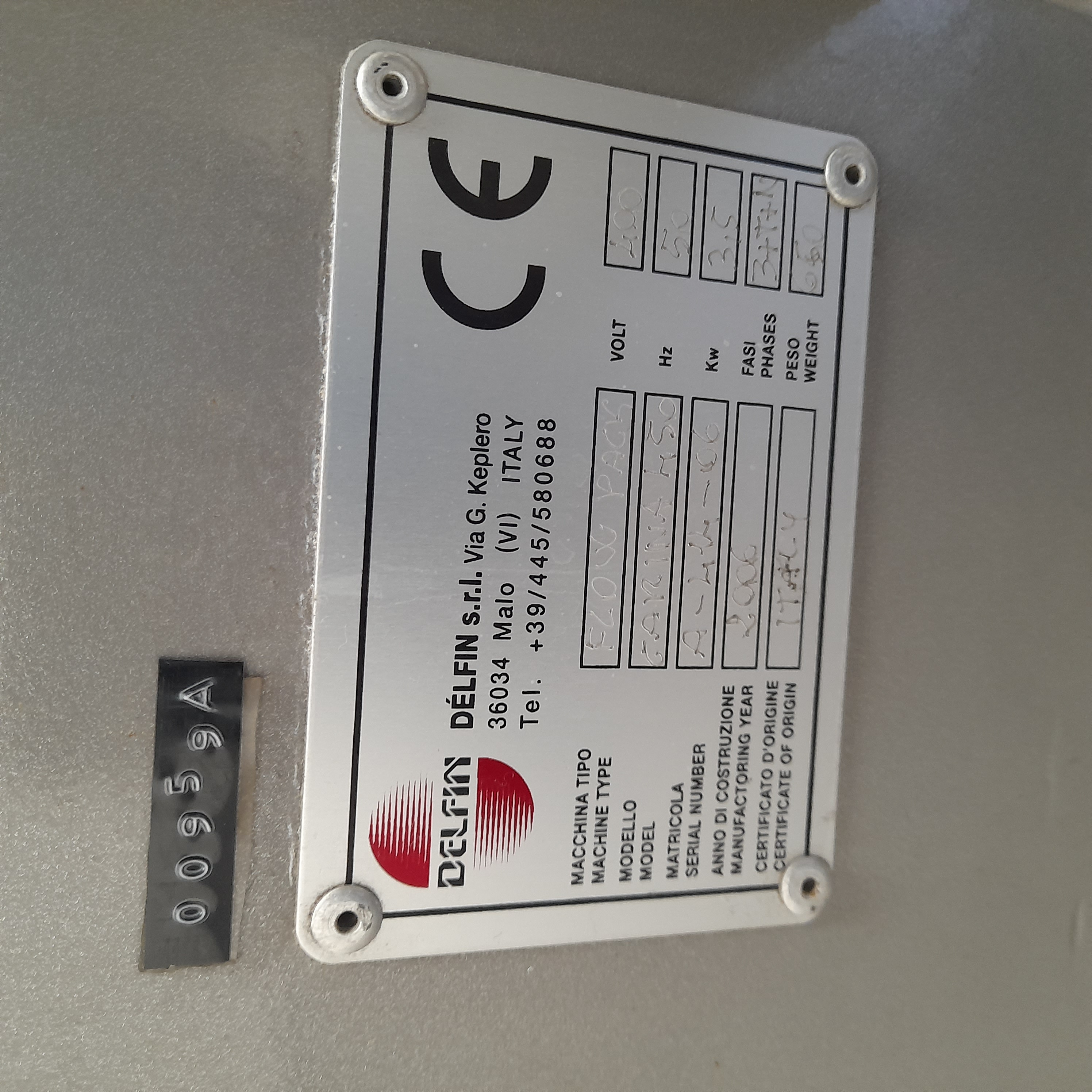 Used Delfin Flowpack with Conveyor