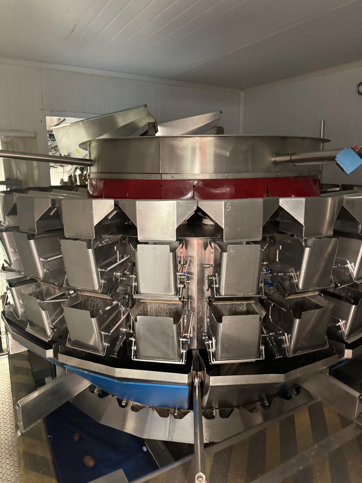 Used Complete VFFS Bagging Line