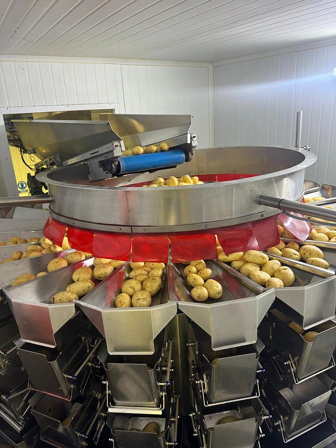 Used Complete VFFS Bagging Line