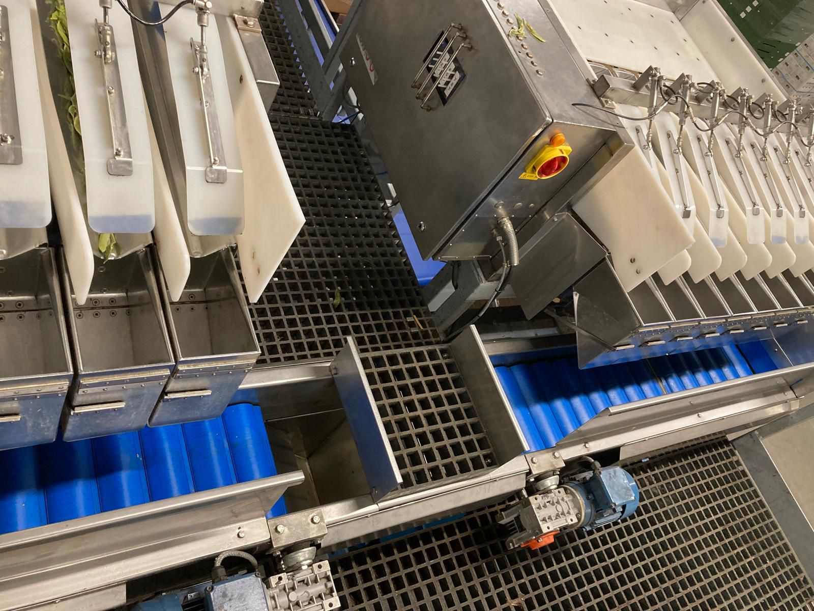 Used Newtec Weighing Line with Illapak Bagger