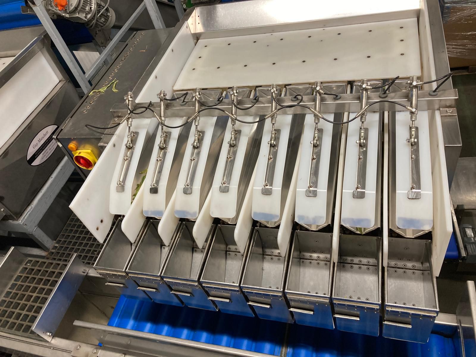 Used Newtec Weighing Line with Illapak Bagger