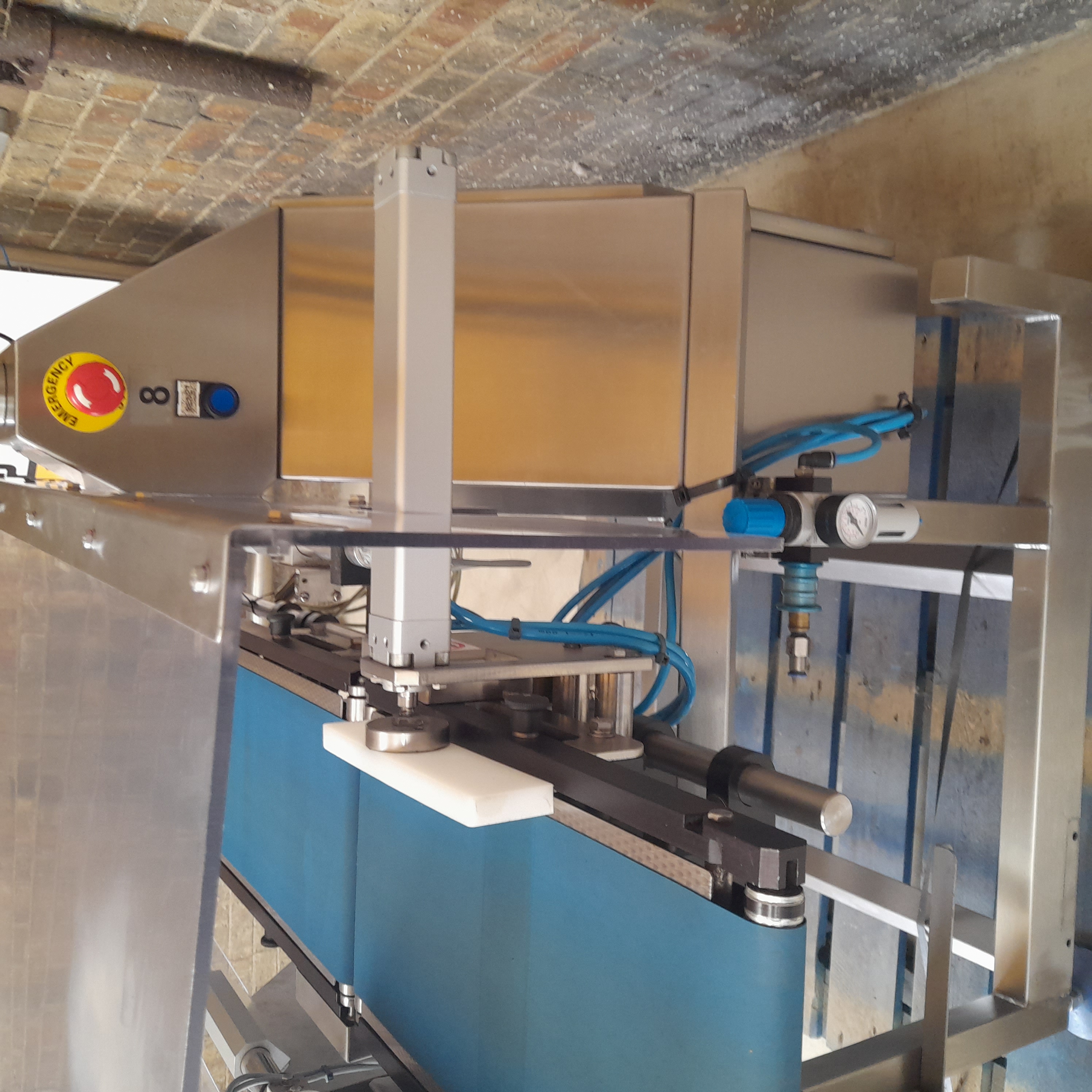 Used Sorma ACE 115 Punnet Filler Bagging Machine