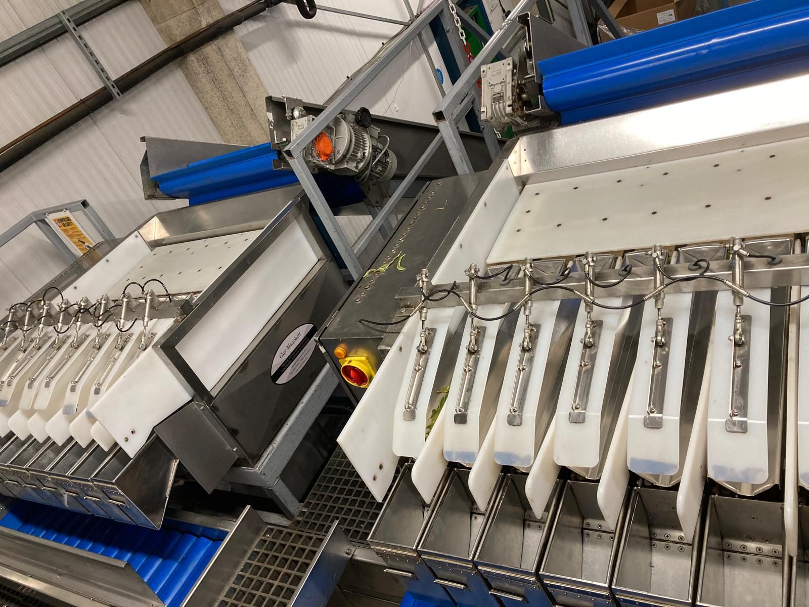 Used Newtec Weighing Line with Illapak Bagger