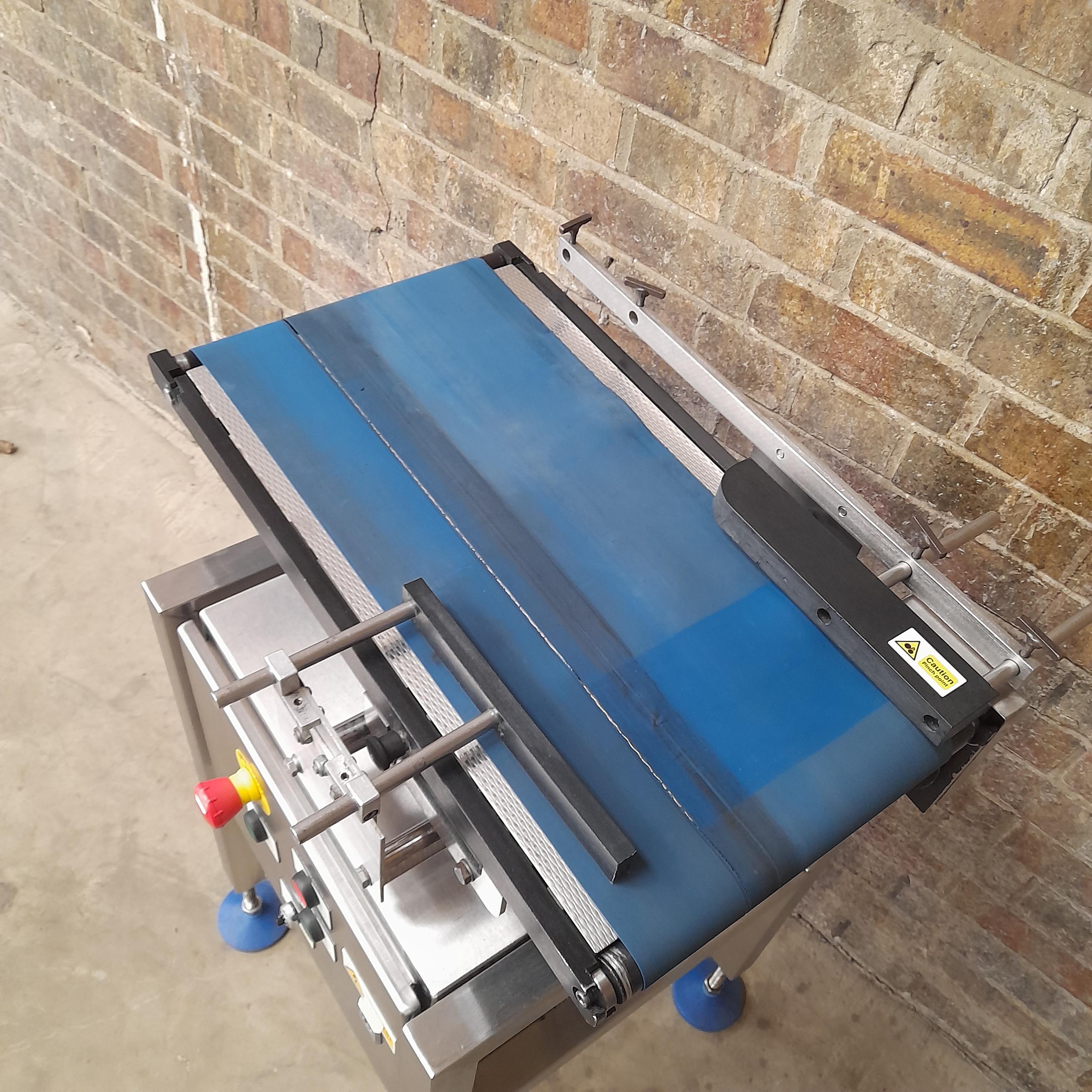 Used Easiweigh Straight Conveyor