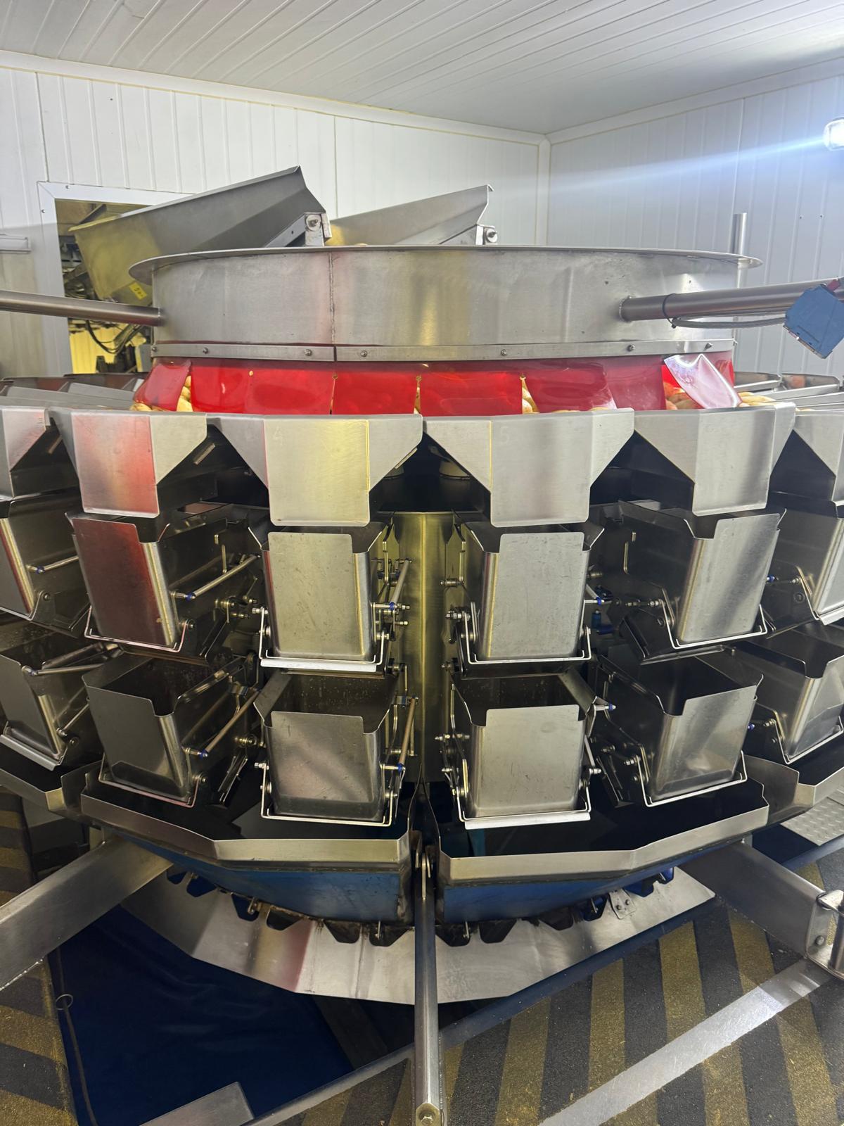 Used Complete VFFS Bagging Line