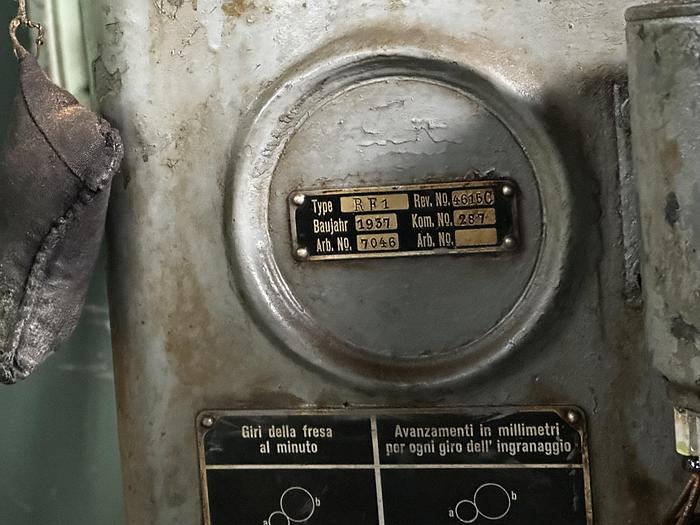 Ottime Dentatrice a Creatore REINECKER RF1