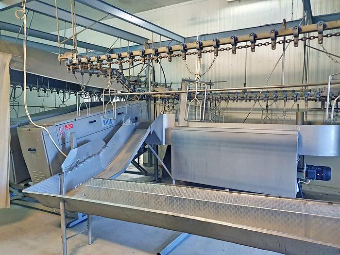 Used 2009 justus.jahn@chicagowood.fi Complete slaughtering and BAYLE plucking plant for turkeys (poultry)