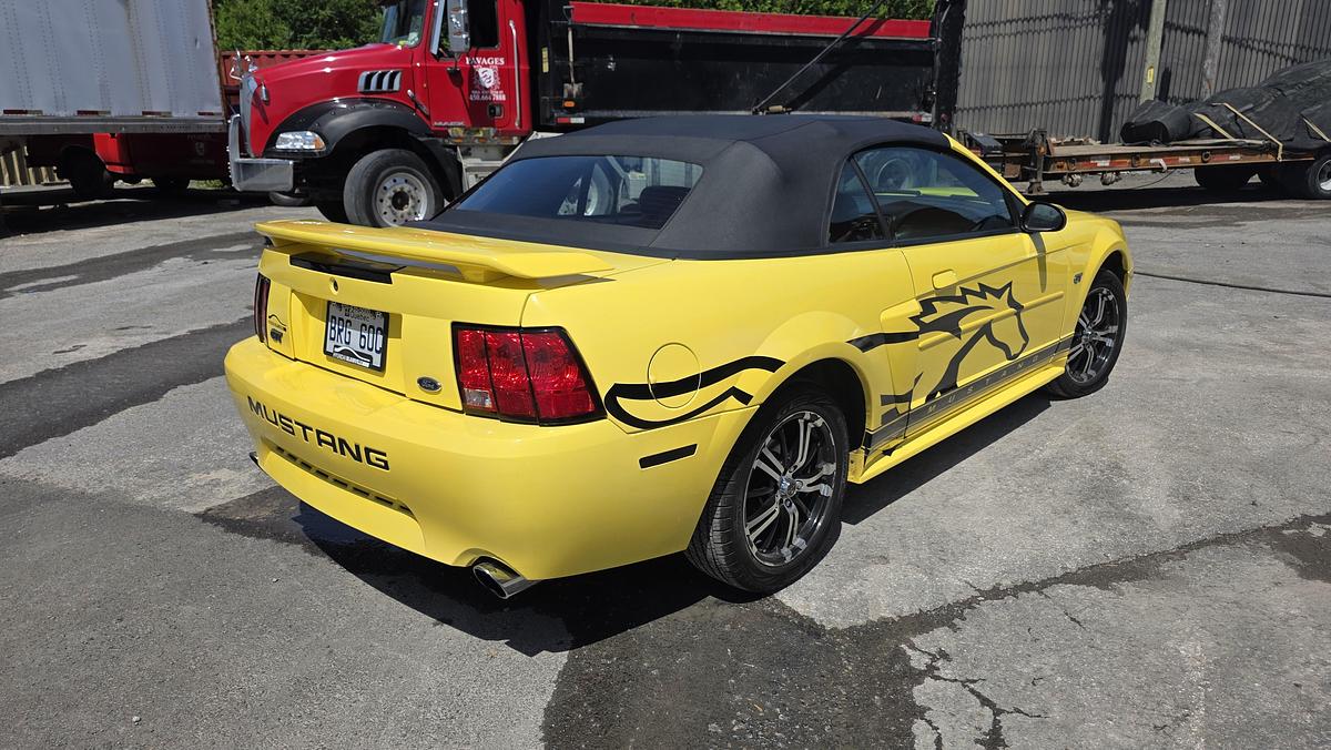 Used 2003 Ford Mustang GT