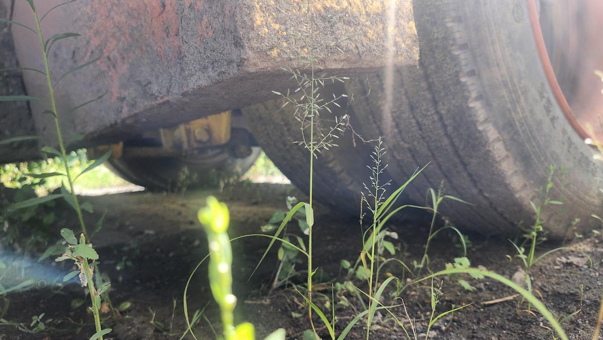 Used 2009 Vibroscreen SCM55