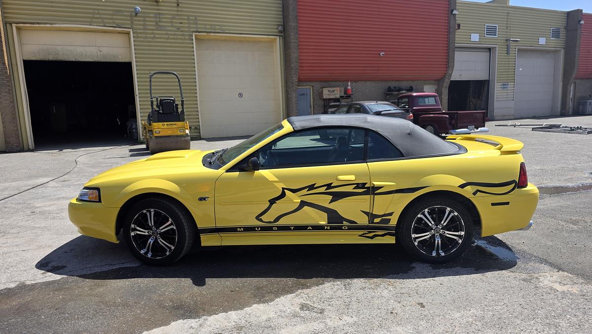 Used 2003 Ford Mustang GT