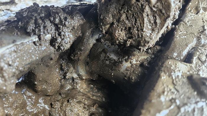 Used 2020 Case CX220C